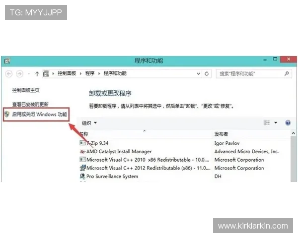 od真人官方客户端下载后常见问题及解决方案全解析